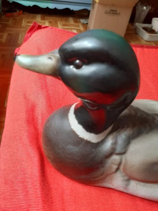 Pato Vintage Martinu