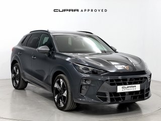 TERRAMAR 2.0 TSI 204CV DSG 4WD BEYOND