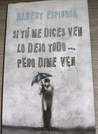 Todo lo que podríamos haber sido tú y yo si no ...