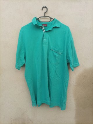 Polo Verde