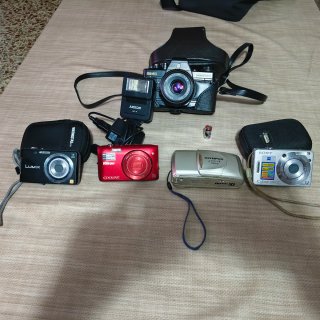 Lote de 5 Cámaras de Fotos