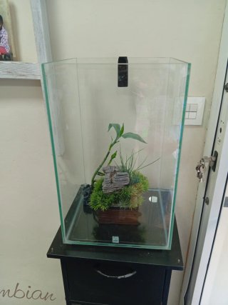Acuario Vertical Fluval Chi