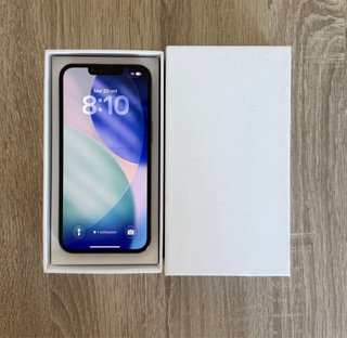 iPhone 13 Pro 100%