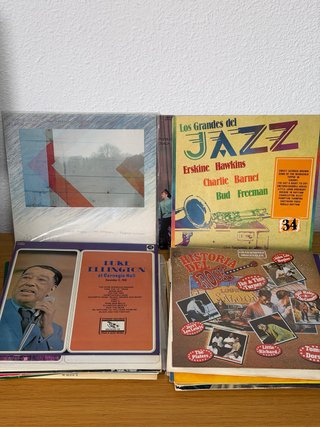 Lote de 25 Discos de Vinilo LP Variados