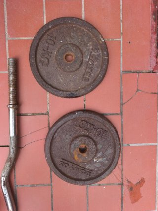 2 Discos de 10kg y Barra Z
