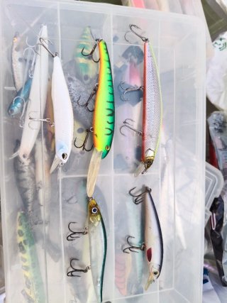 Lote de 5 señuelos de pesca