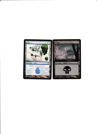 Lotto 2 Terre Foil Magic: The Gathering