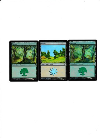 Lotto 3 Carte Magic Terre Foil Lorwyn