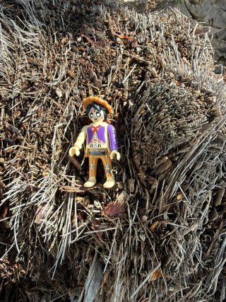 Figura Playmobil Disney Héctor