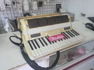 Fisarmonica Settimio Soprani 120 Bassi
