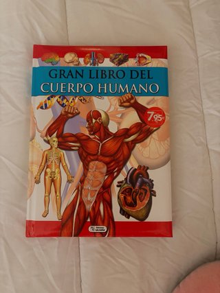El cuerpo humano