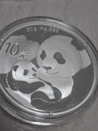 Moneda de Plata Panda Chino 30g