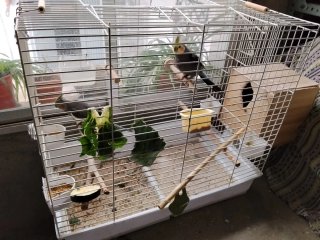 Jaula para pájaros