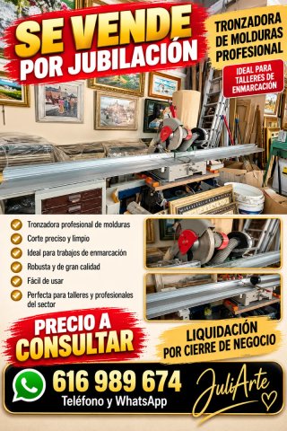 Tronzadora Profesional de Molduras