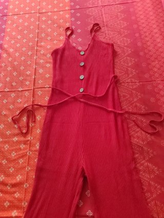 Mono Rojo de Tirantes
