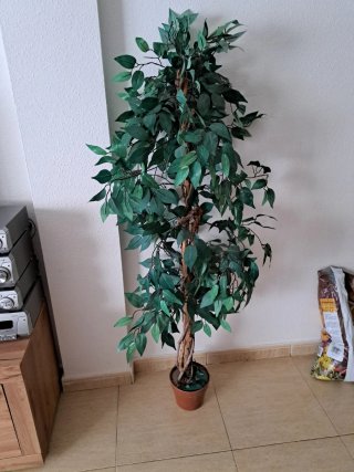Planta Ficus Artificial Decorativo