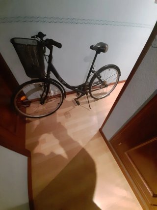 Bicicleta Urbana Negra con Cesta