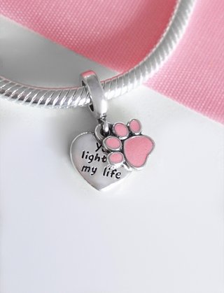 CHARM HUELLA PERRO GATO CORAZ PARA PANDORA CAJA