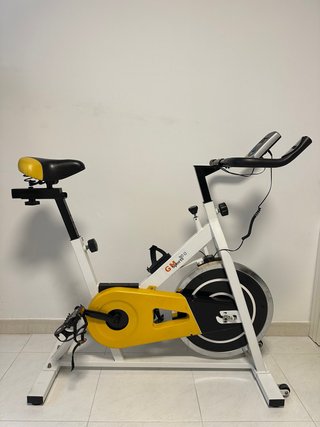 Bicicleta de Spinning GM Sport 207-D