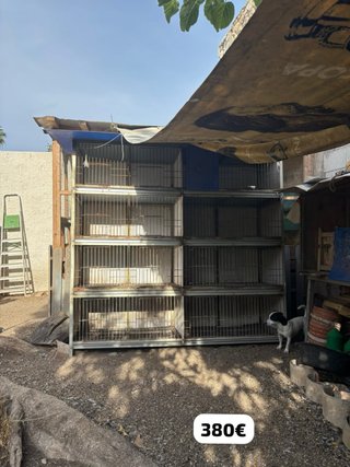Pelechero para palomos