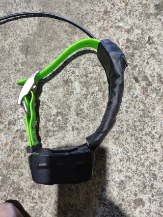 Collar Garmin TT15