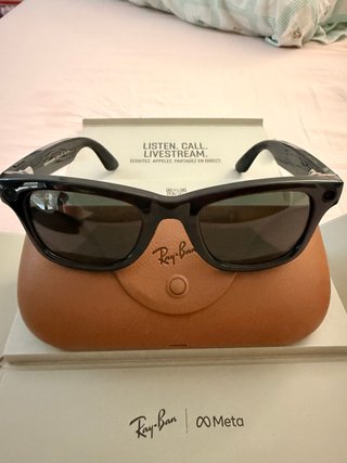 Ray-Ban Meta Wayfarer RW4006