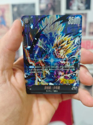 Son Gohan: Childhood FS09-10