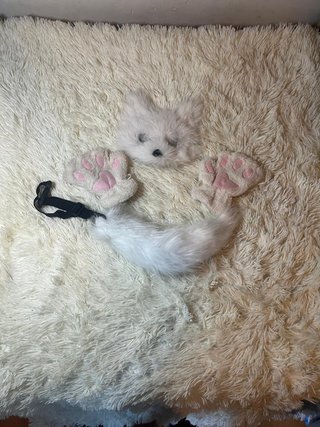 Set de Disfraz de Gato Blanco
