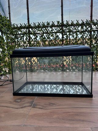 Acuario de 60 Litros con Tapa y Luz