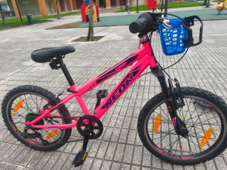 Bicicleta Infantil 20 Pulgadas Rosa