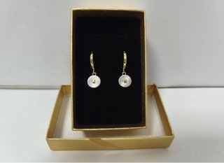 Pendientes Aros Bicolor