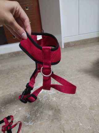 Arnés para perro talla S