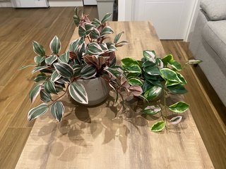 2 Plantas Artificiales IKEA con sus macetas