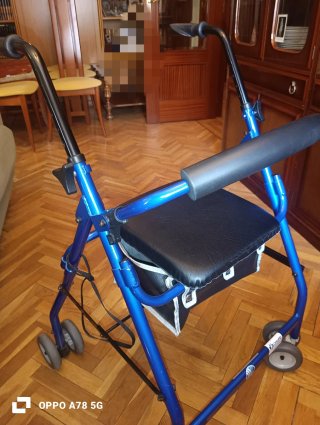 Andador Metálico Azul con Asiento