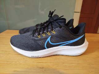 Zapatillas Nike Air Zoom Pegasus 39
