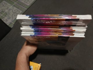 Set de 5 Lienzos para Pintar