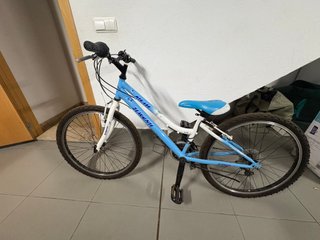 Bicicleta Infantil JL-Wenti MTB-500
