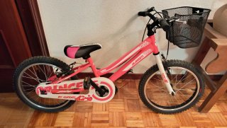 Bicicleta JL Wenti Princess