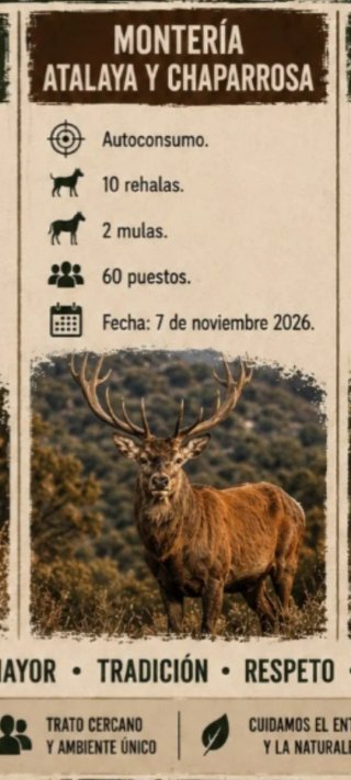 Jabalí y venado buenas espectativas674298818