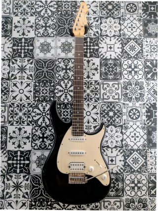 Guitarra Eléctrica Peavey Raptor Plus EXP