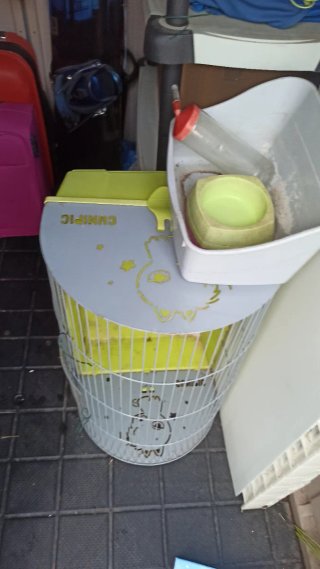 Jaula para Conejos o Cobayas
