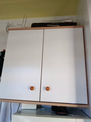 Mueble con dos puertas,estanterías y aplique techo