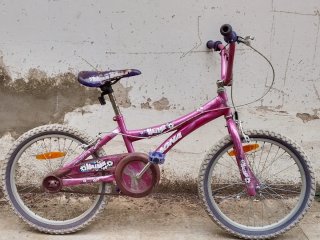 Bicicleta Infantil Magna Rosa