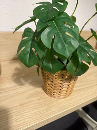 Macetero de Mimbre con Planta Artificial
