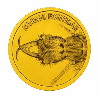 Moneda de Oro Myrmeleontidae