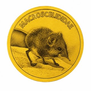 Moneda de Oro Macroscelididae