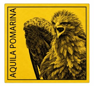 Moneda de Oro Aquila Pomarina
