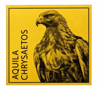 Placa Decorativa Aquila Chrysaetos