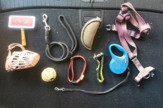 Set de accesorios para perro mediano