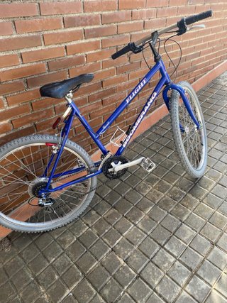 Bicicleta de Montaña Boomerang Flight Azul